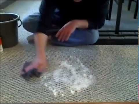 How To Clean Pet Vomit From Carpet - Everett WA