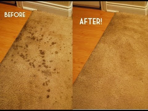 How To Deoderize Cleaning Carpet With Baking Soda Mukilteo
