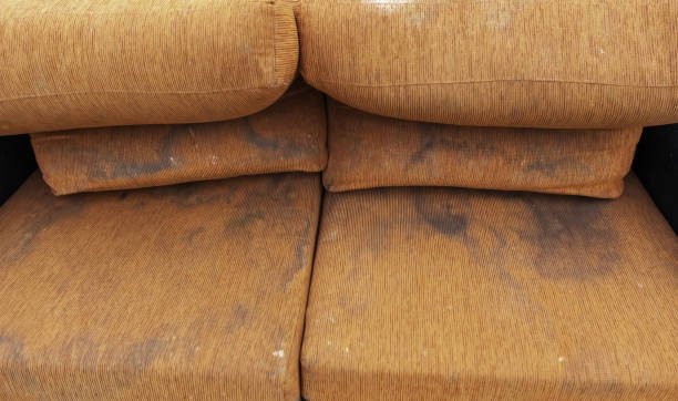 Clean A Couch