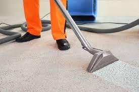 Professional Carpet Cleaning