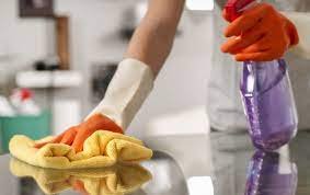 Spring Cleaning Services