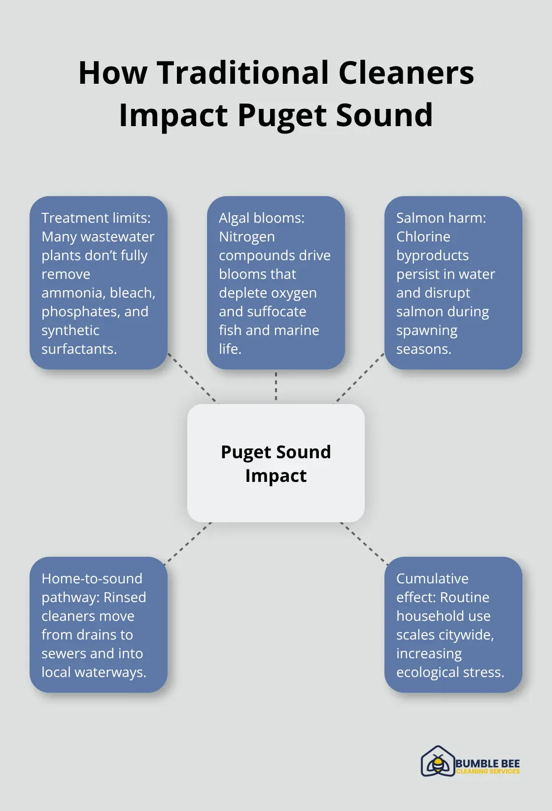 Diagram showing household cleaner pollutants and their effects on Puget Sound ecosystems - Eco building materials